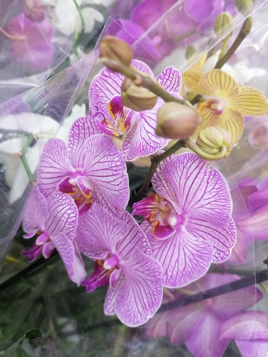 И такие там были... 