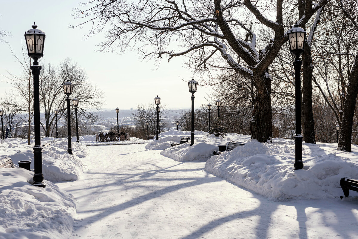 Источник freepik.com, фото из открытых источников. 