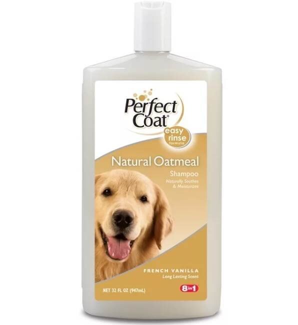 Шампунь для собак: какой выбрать и как правильно мойте своего питомца