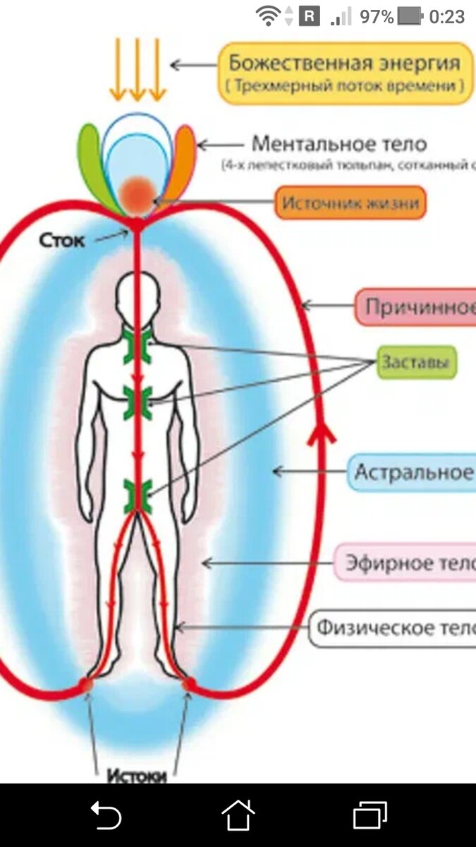 Энергетические центры человека тонкие тела и физическое тело