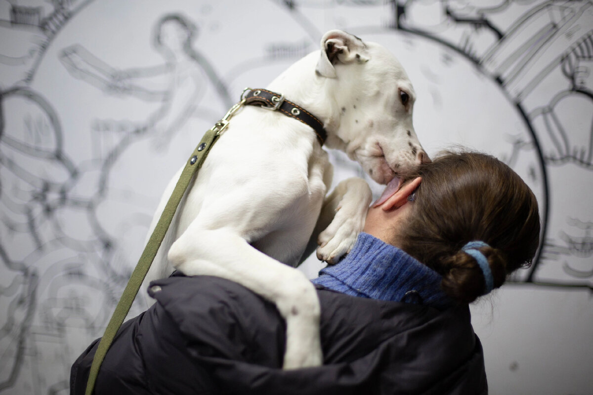 " ты самая красивая!"- шепчет Бутуз Наталье Александровне .