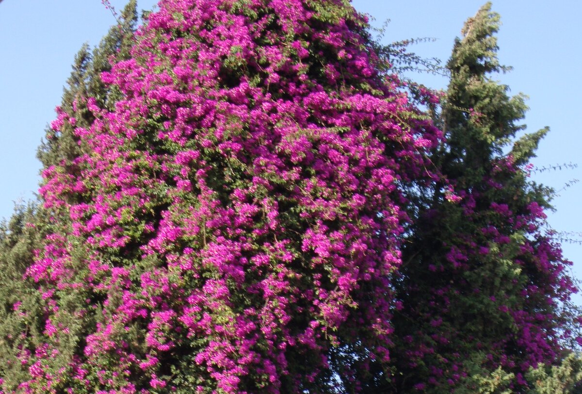 фото из личного архива