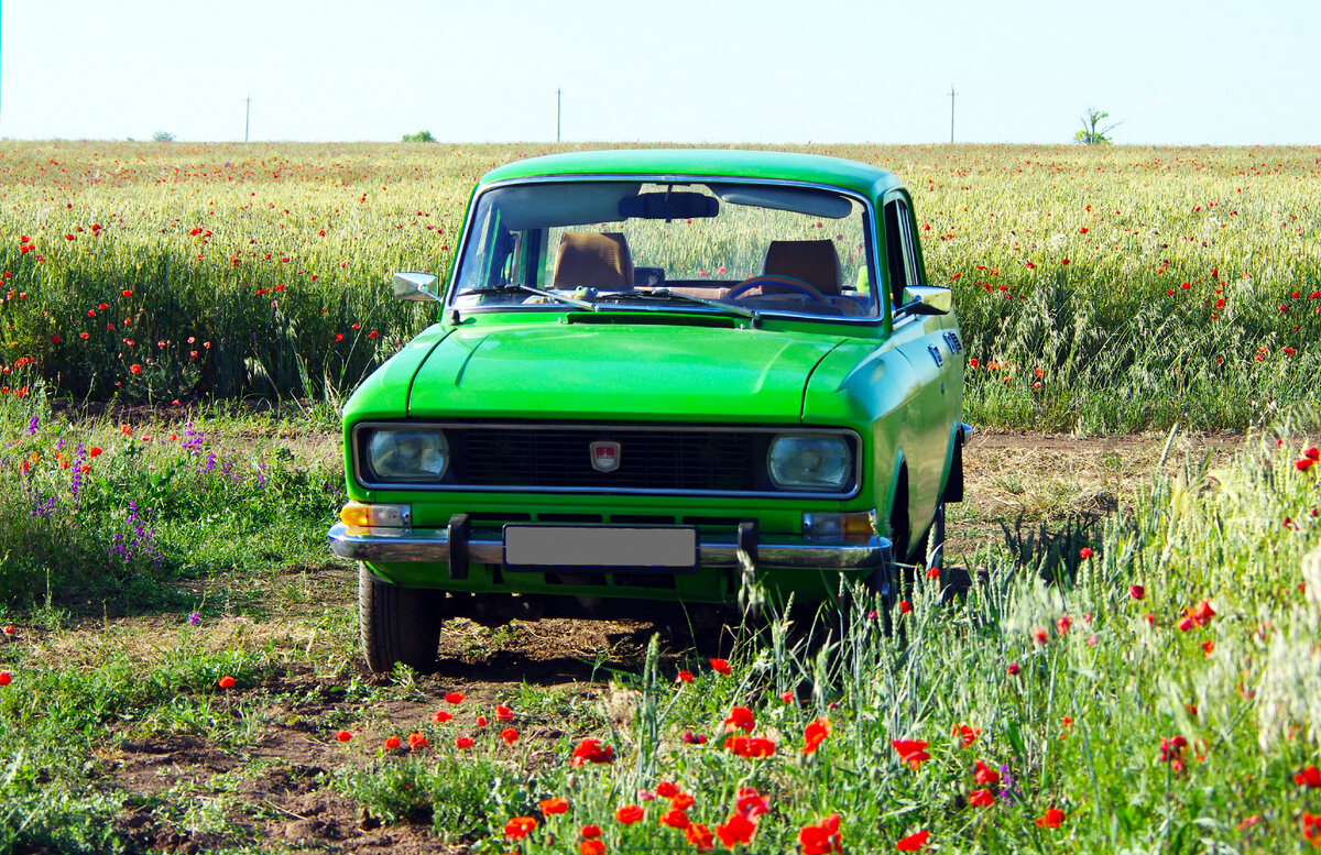 Мир, труд, май, Москвич!