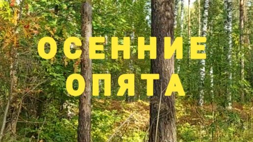 ОСЕННИЕ ОПЯТА. Сериал 