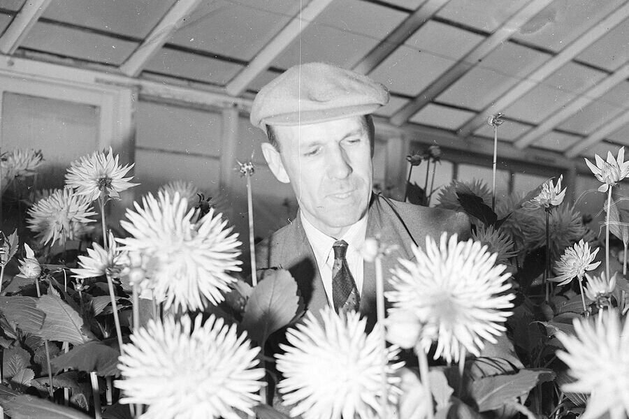 Global Look Press📷
