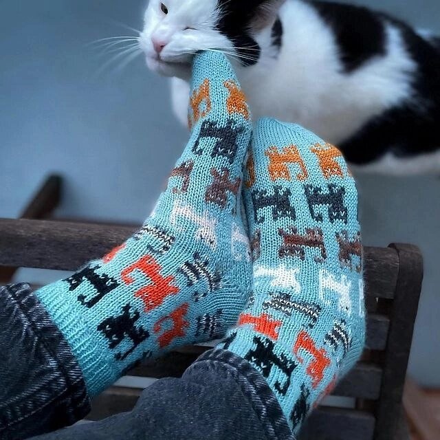 ���� �� ���������� ���������