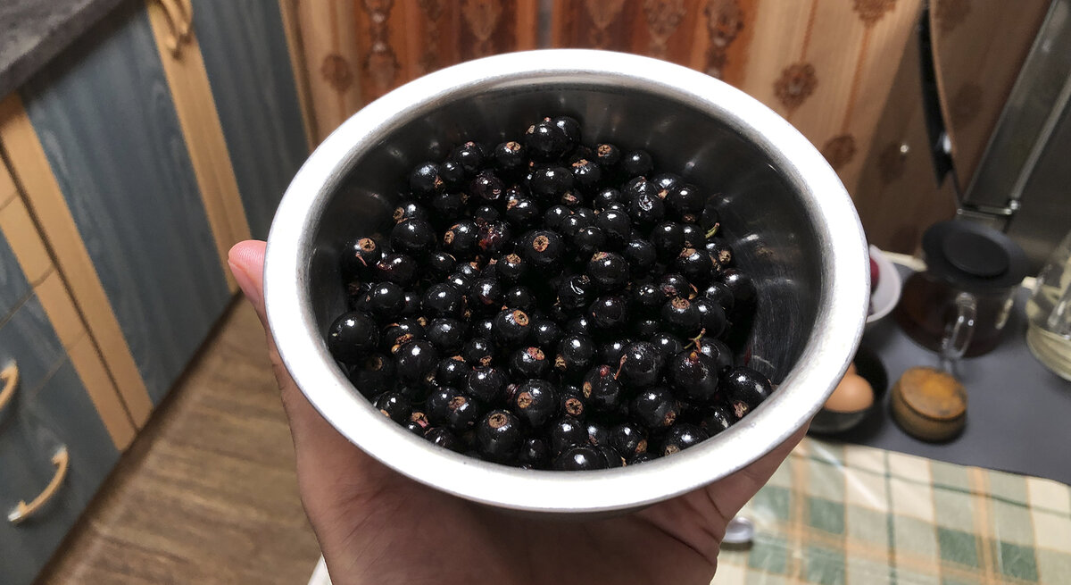 Пример: черная смородина