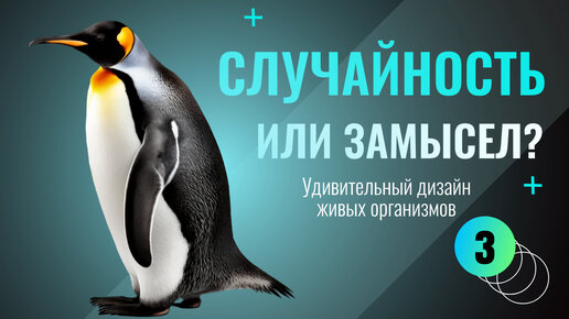 Случайность или Замысел? — Удивительный дизайн живых организмов (3 часть)