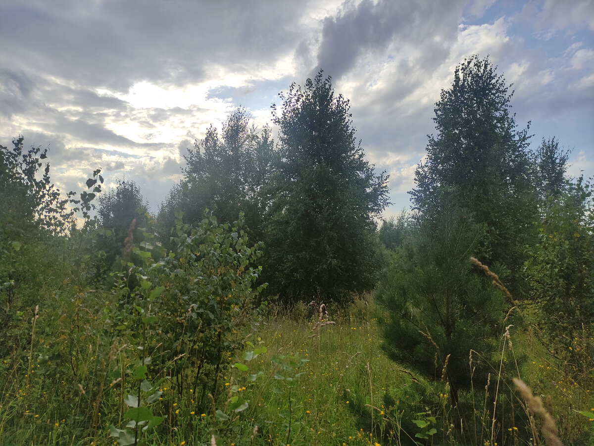 Сквозь разрывы туч проглядывает предзакатное солнце