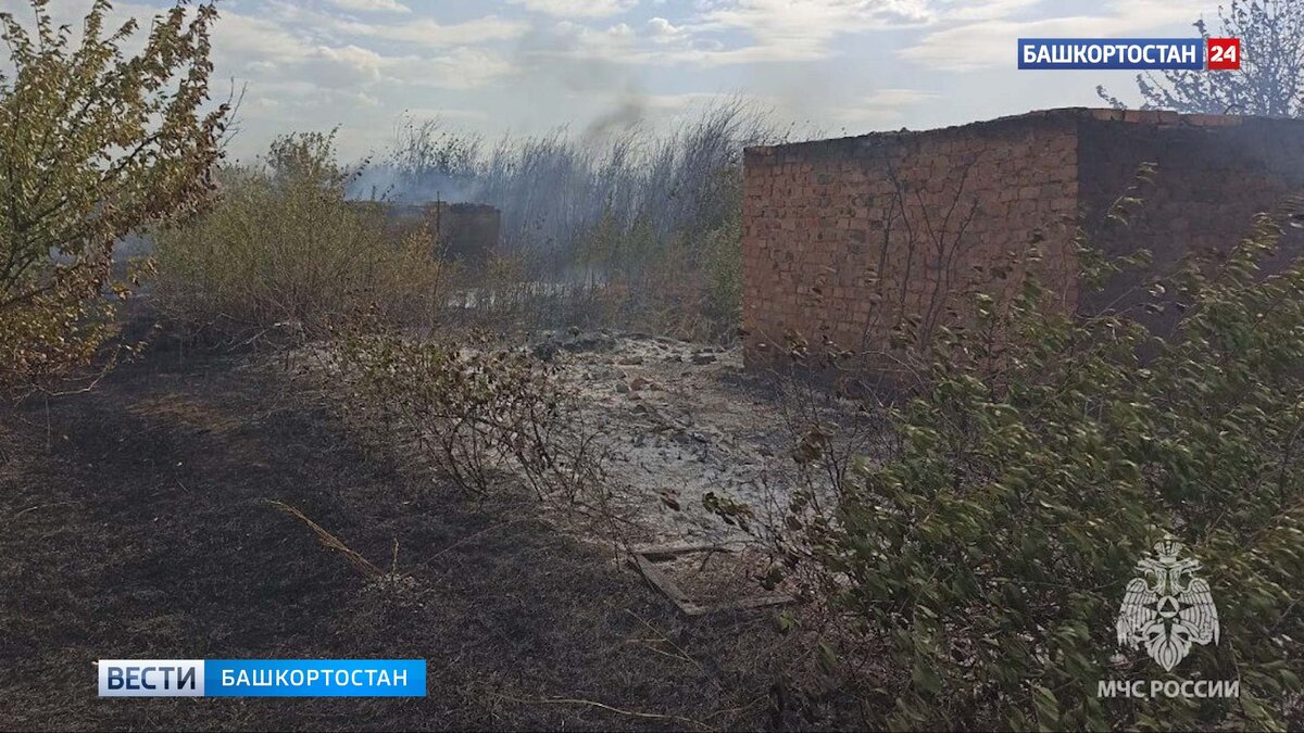   Густой дым на трассе: под башкирским Салаватом загорелись шесть садовых домов и трава на площади 2 га