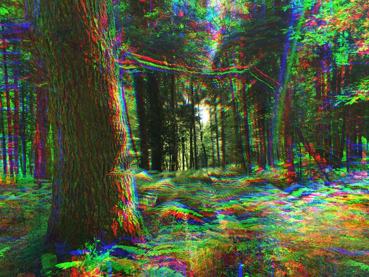 Не ходи в лес одна (мистический рассказ)