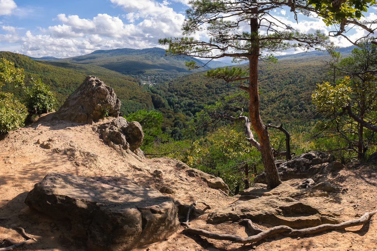 Планческие скалы краснодарский край фото