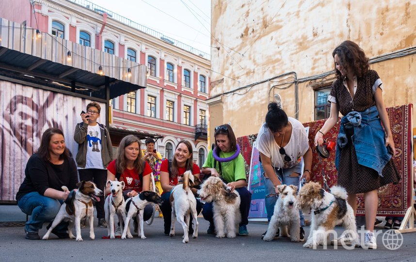    В дни фестиваля пройдёт парад фокстерьеров, собака такой породы была у Сергея Довлатова.Алена Бобрович