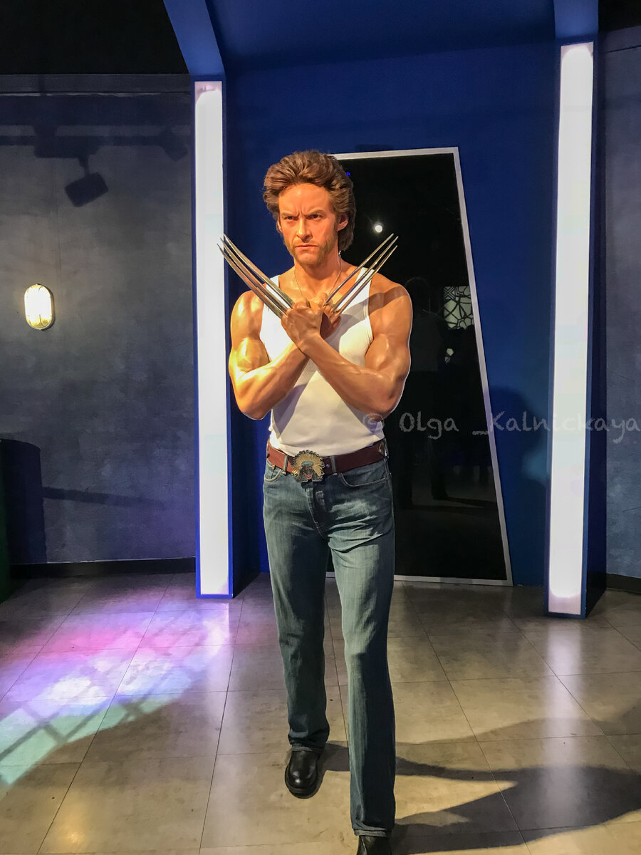 Росомаха собственной персоной. Фото автора.