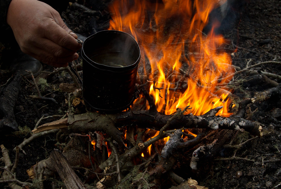 Лучшим ингредиентом для лесного чая зимой являются хвойные веточки. 