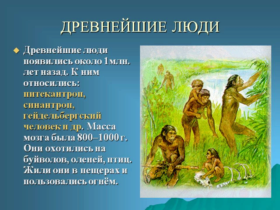1 древнейшие люди появились. Питекантроп синантроп Гейдельбергский человек. Древнейшие люди презентация. Информация о древних людях. Презентация на тему древние люди