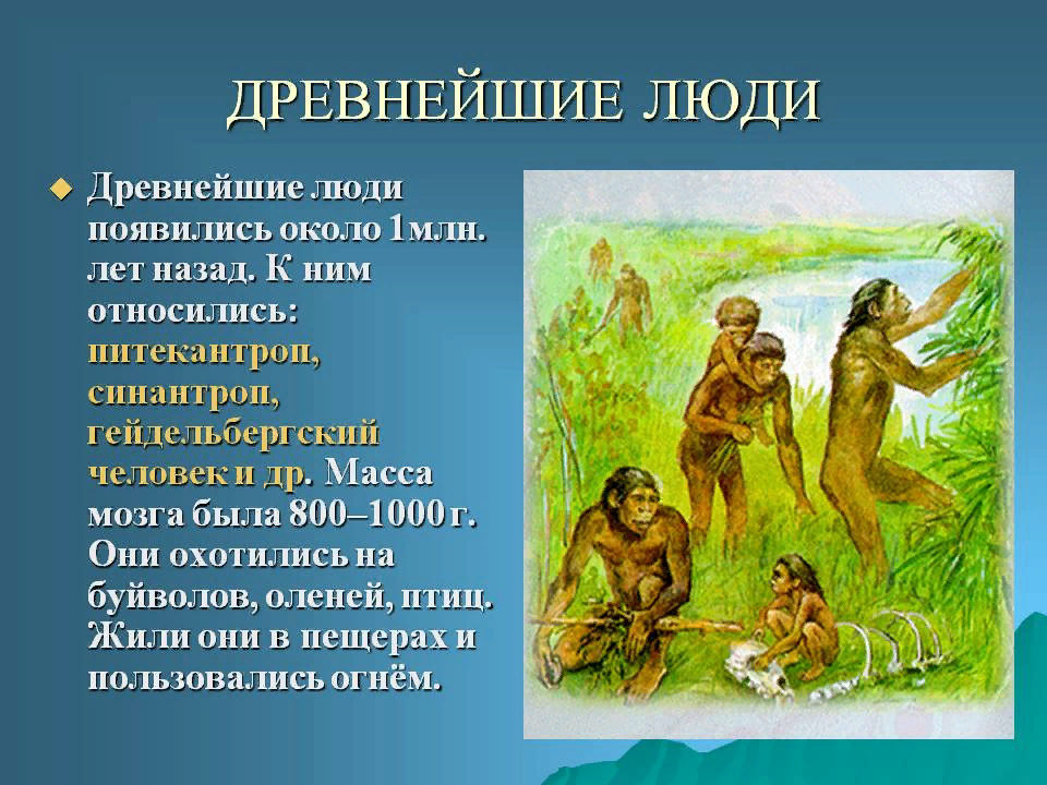 Происхождение древнего человека. Питекантроп синантроп Гейдельбергский человек. Древнейшие люди презентация. Информация о древних людях. Презентация на тему древние люди.