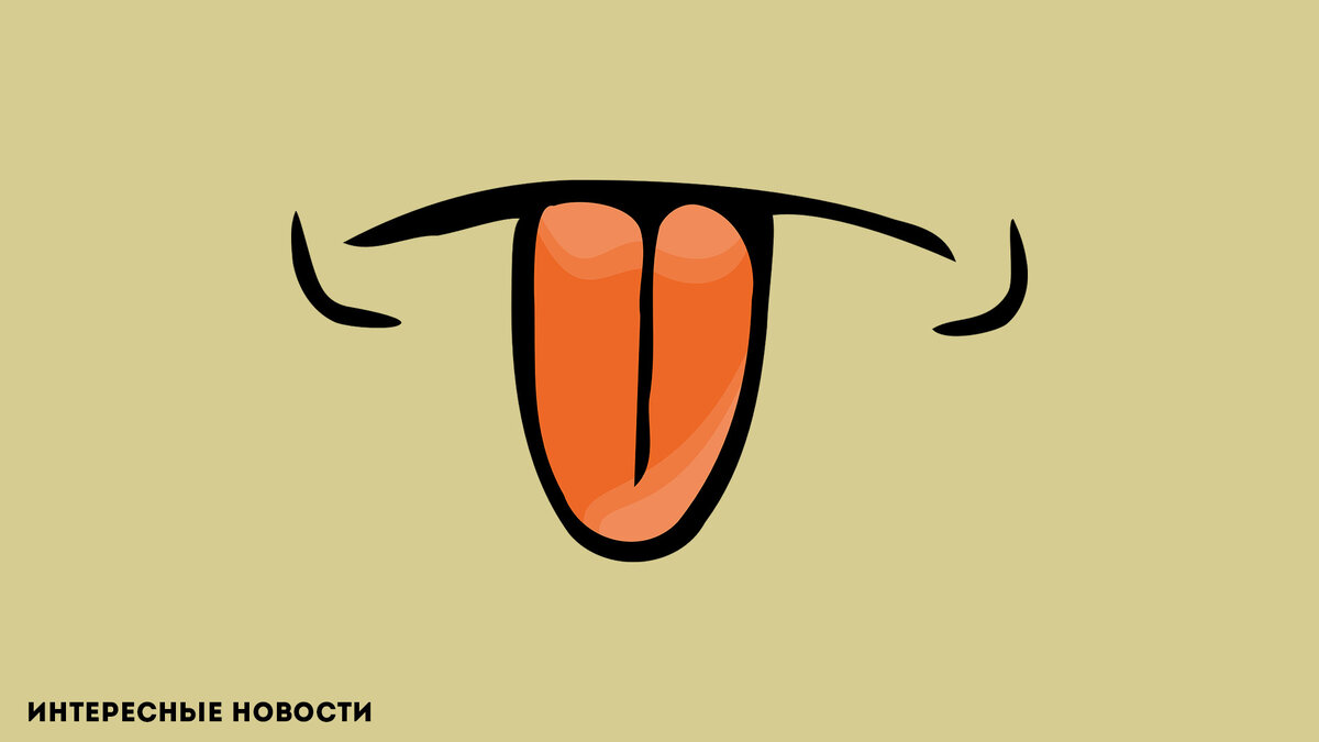 Изображение: "Узнать болезнь по цвету язы