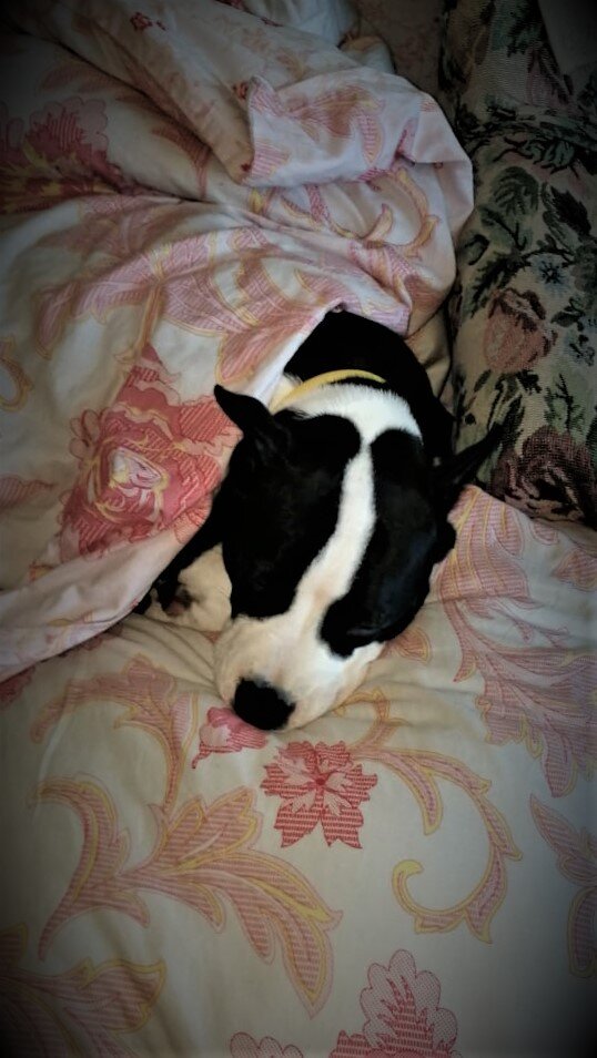 Фото из личного архива.