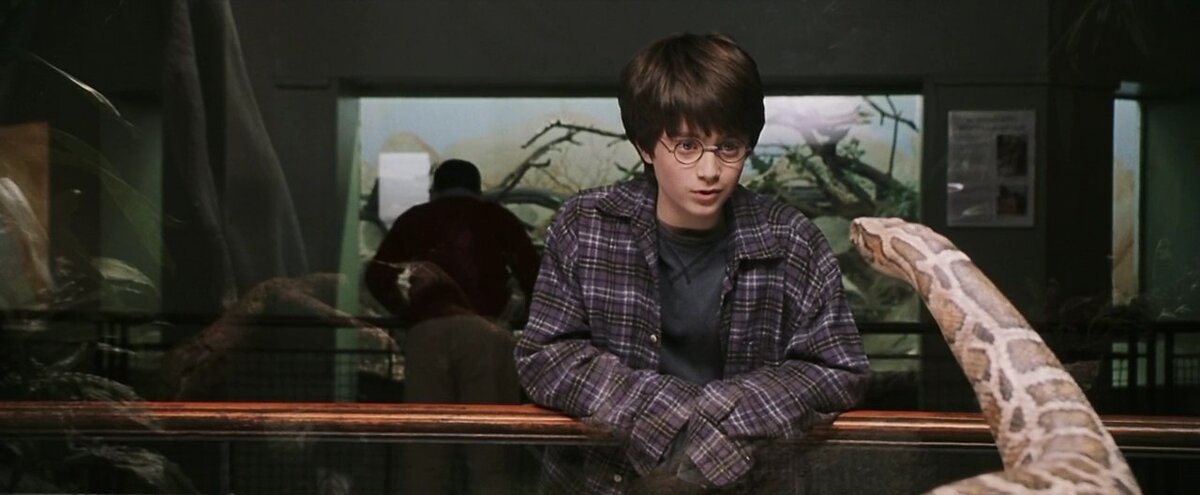 "Гарри Поттер и Философский камень"