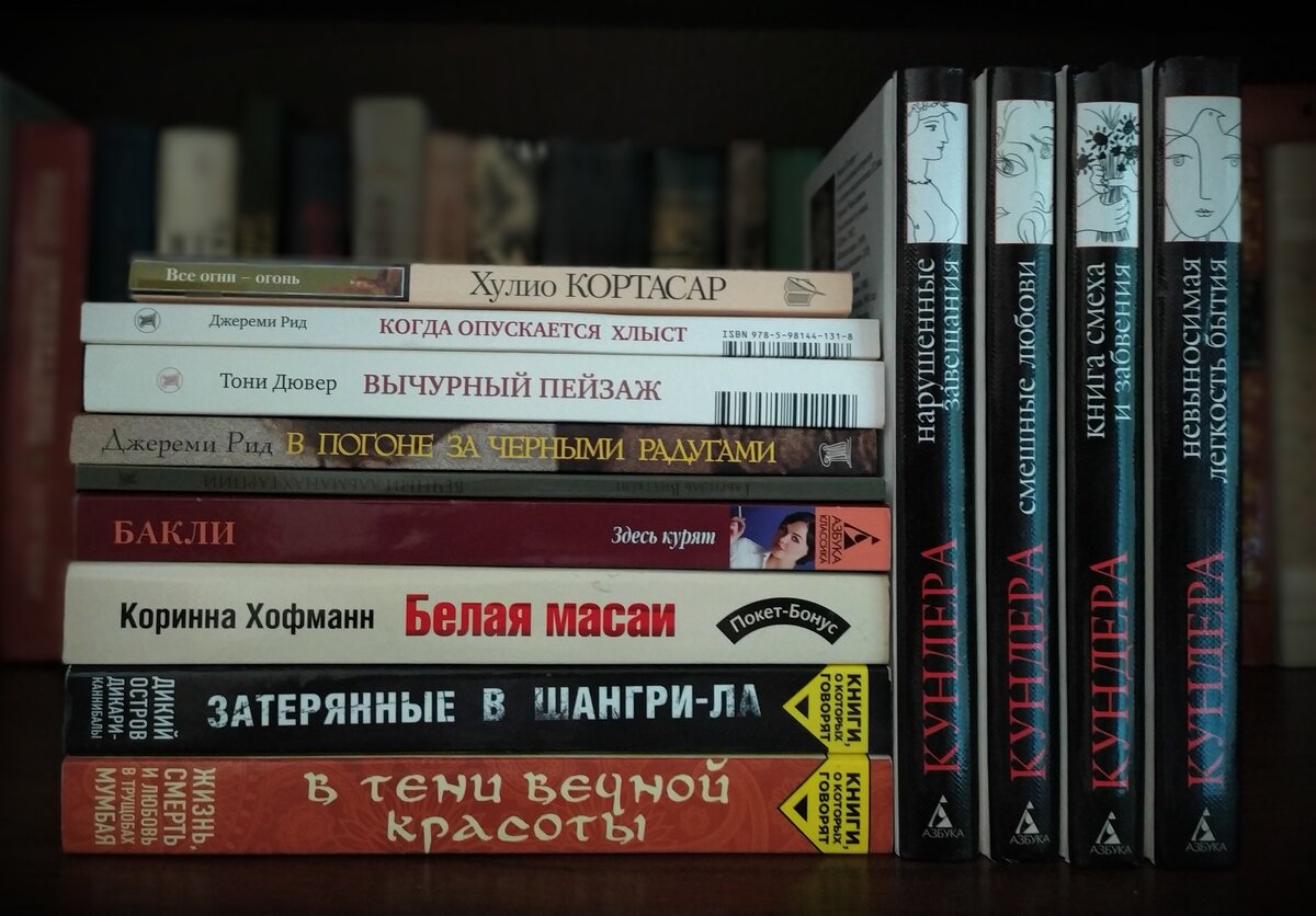 Милана Кундеру отлавливала по букинистическим магазинам и книжным развалам. Уж очень мне нравится именно это аккуратное и минималистичное издание от "Азбуки". Три нижние книги в стопке - проект, в рамках которого печатают реальные истории, которые поражают воображение.  Сверху лежат книги очень необычного издательства - Kolonna publications. Рекомендую обратить на них внимание, если вам интересна радикальная и неформатная литература, если вас не смущают описания телесности и ЛГБТ-тематика. 