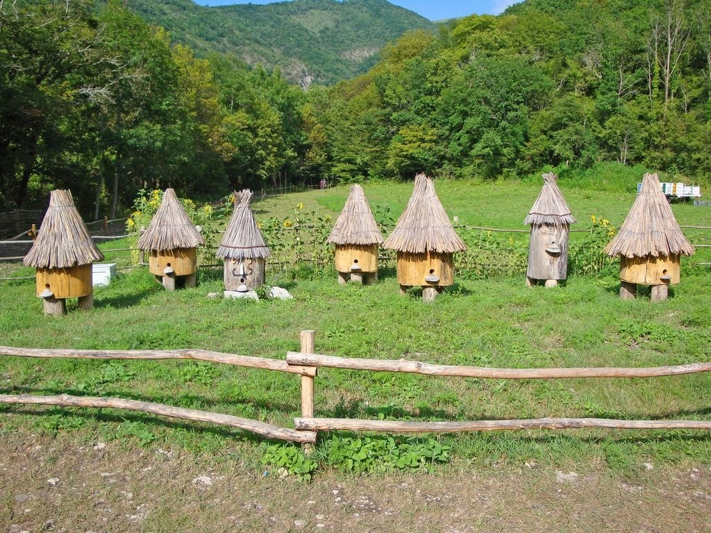 https://th.by/wp-content/uploads/2017/01/muzej-v-strochitsah-agrousadba-ganka-49129-15.jpg