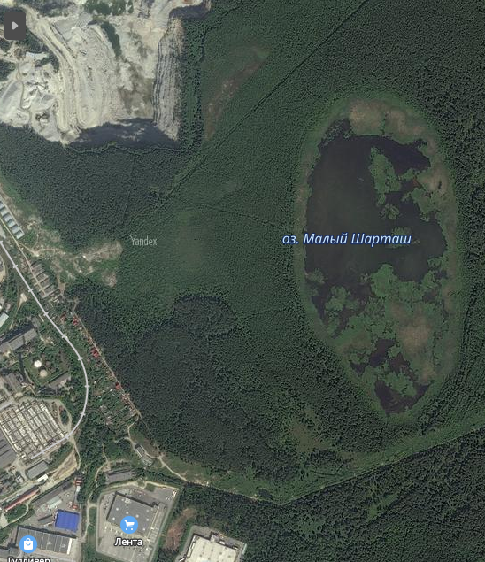 Снимок со спутника. В центре - лесистая горка с Малошарташскими палатками посреди болота, окружающего его