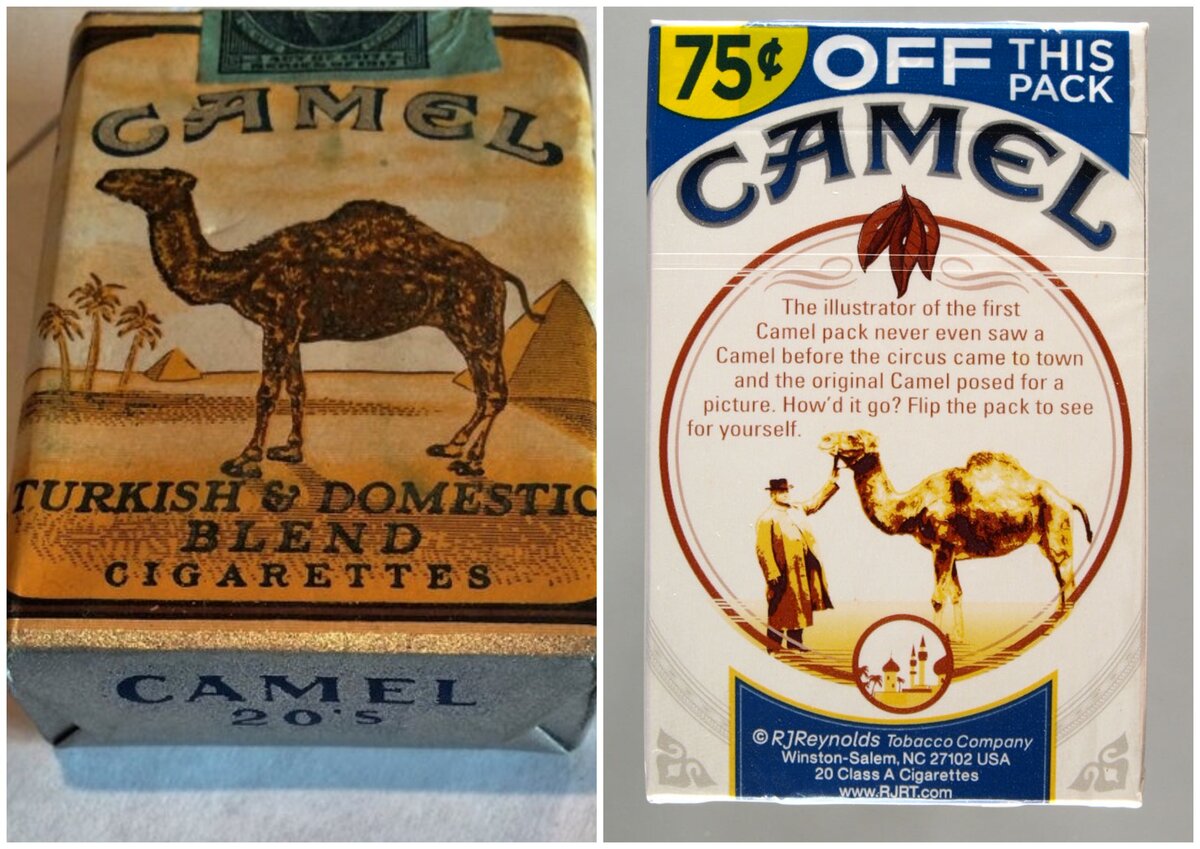 Camel сигареты виды