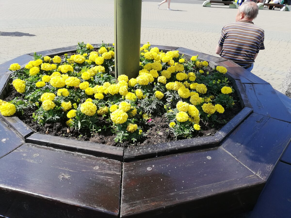 Фото носит иллюстративный характер