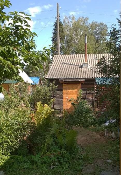 Перенесенный туалет, фото от крыльца. Справа от туалета навес для дров.