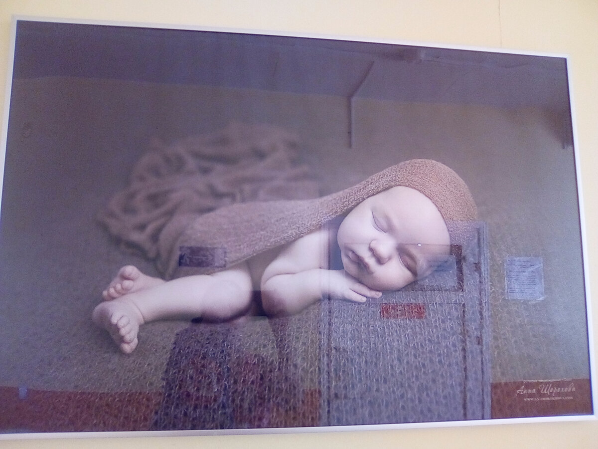 Портрет в коридоре отделения.