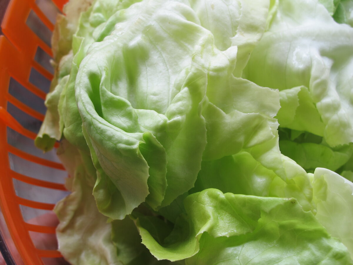 Фото автора статьи.