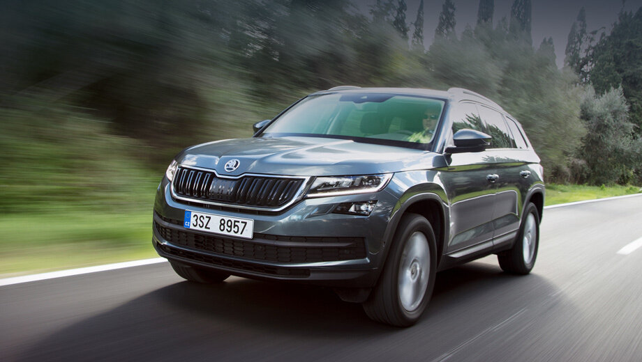 Издание Autocar подсчитало, что за 2018 год Skoda провела в Европе три отзыва, коснувшихся пяти моделей. Поэтому в условном топ-30 чехи заняли 29 место, оказавшись перед Porsche (тоже три акции, но и моделей три штуки). 
Кроссовер Skoda Kodiaq отзывается в России впервые, и не в одиночестве. Вместе с ним на ремонт приглашены лифтбеки Octavia и Superb. Речь идёт о 24 автомобилях, проданных в 2018–2019 годах. Причина проста: подушка безопасности в случае аварии может надуться недостаточно быстро, поэтому её нужно бесплатно поменять. Росстандарт опубликовал перечень VIN-кодов.