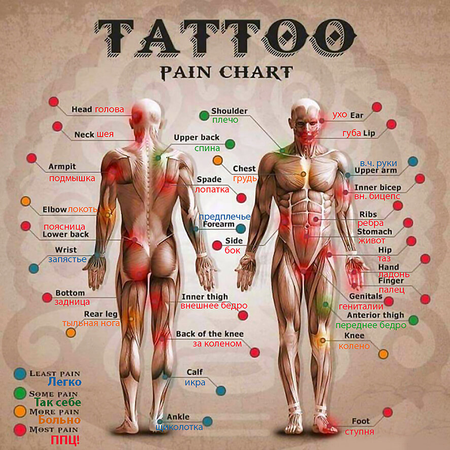Карта боли для тату у мужчин