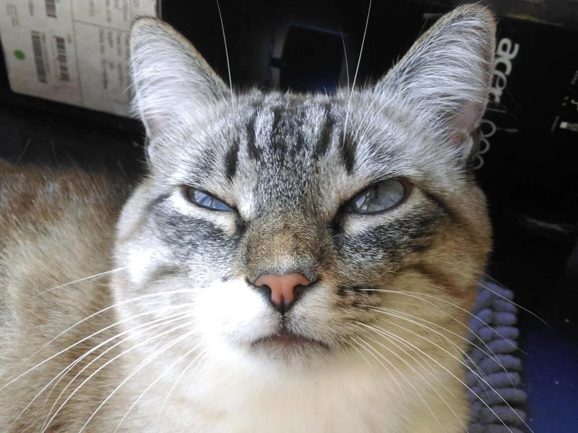 - А мы уйдем на север, но сначала нам нужна колбаса