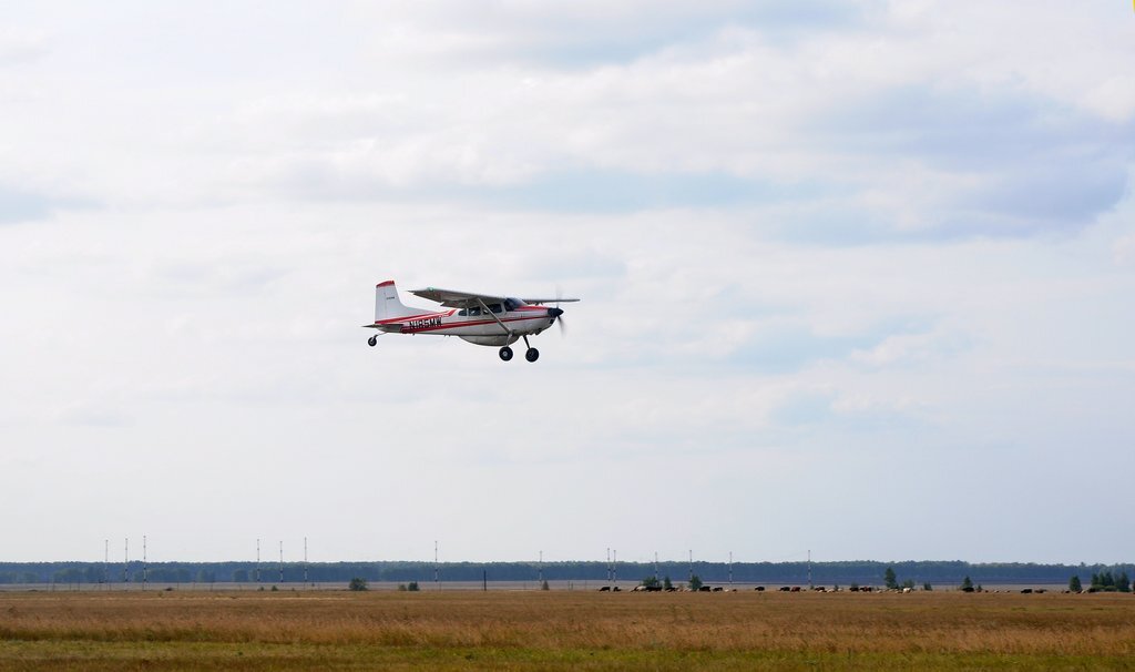 Вылет и, соответственно, прибытие задержались от планируемого и фактически  мы прибыли уже почти под посадку. Но хорошо. что успели! Проход над омским аэродромом Марьяновка  Торопимся быстрее к полосе. Заход на посадку. Коровы или лошади на заднем плане - атрибут многих съемок на данной локации   