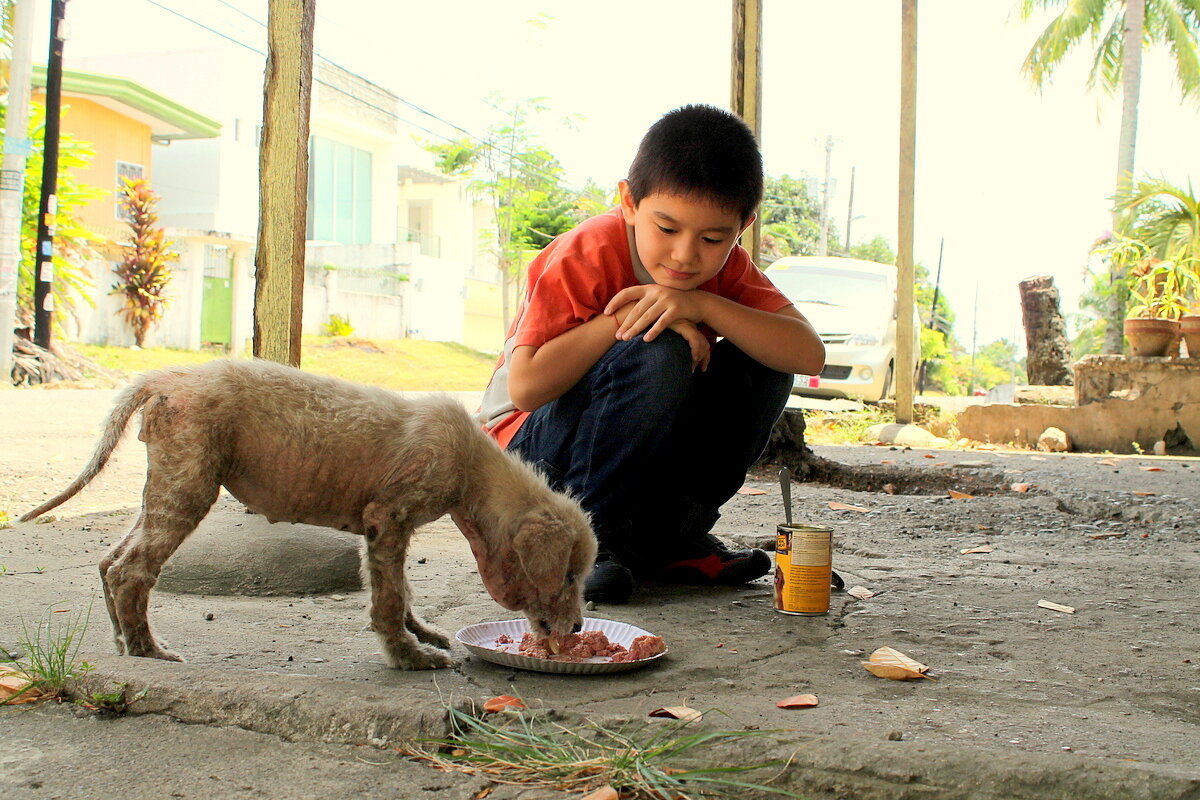 фото взято с просторов интернета. Благодарю автора за снимок.