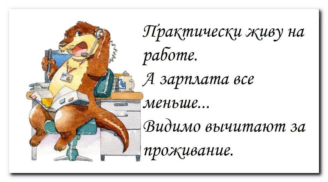 Анекдоты про зарплату. Анекдот про работу прикольные. Шутки про зарплату и работу. Веселые открытки про работу. Не хочу в командировку