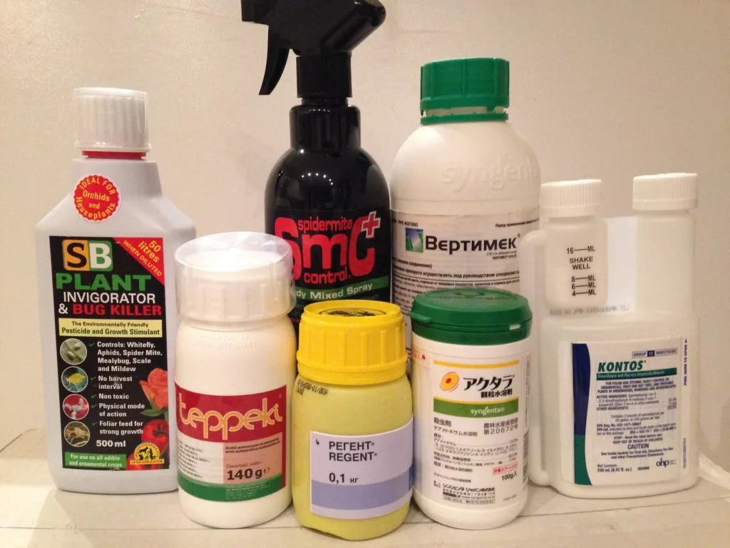 Яндекс.картинки