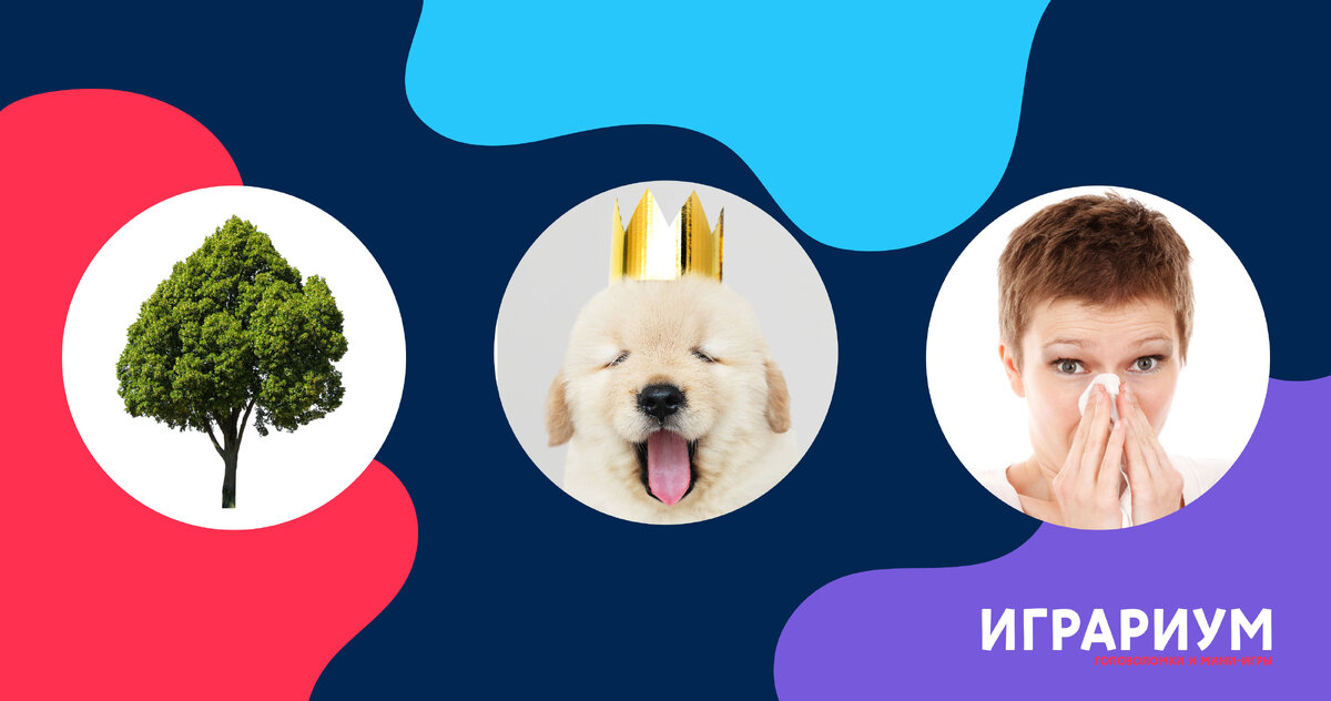 Игра "Что зашифровано?". Головоломка, задача на логику