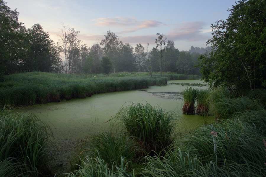 Читать 3 минуты...