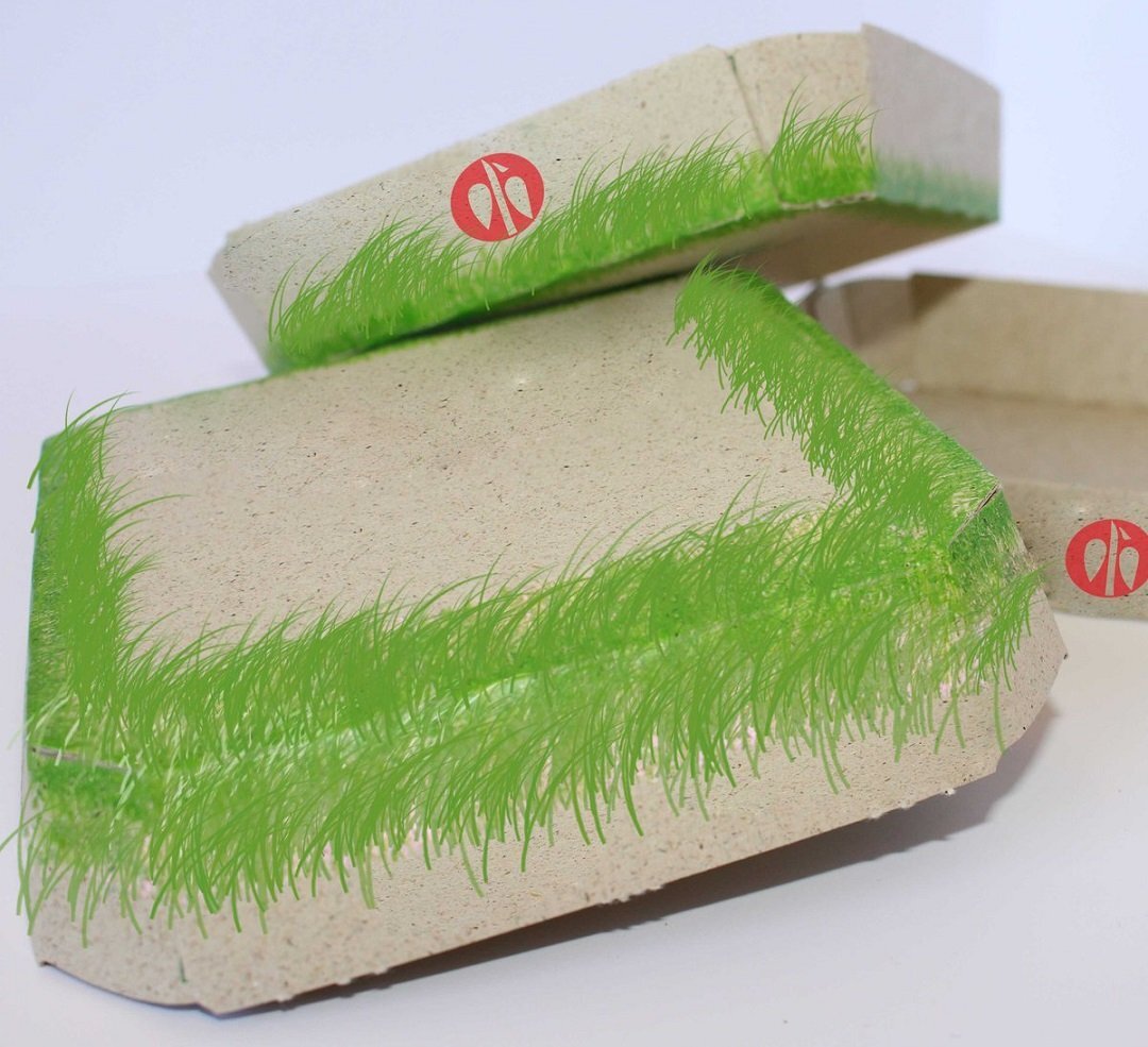 ‘Grass Paper’ Papierfabrik Scheufelen