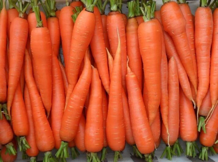И опять про морковь: бюджетная заготовка на зиму