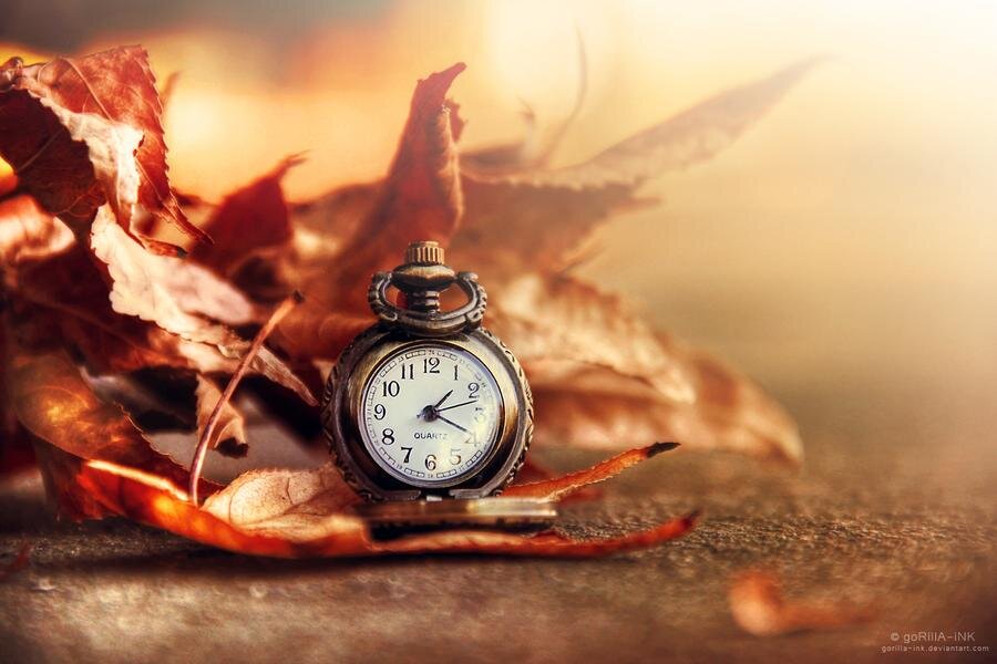 Фото взято из открытых источников