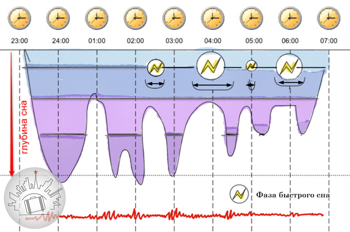 Диаграмма сна. Фазы сна человека диаграмма. Фазы сна схема. Периоды сна человека в течении ночи. Циклы и фазы сна.