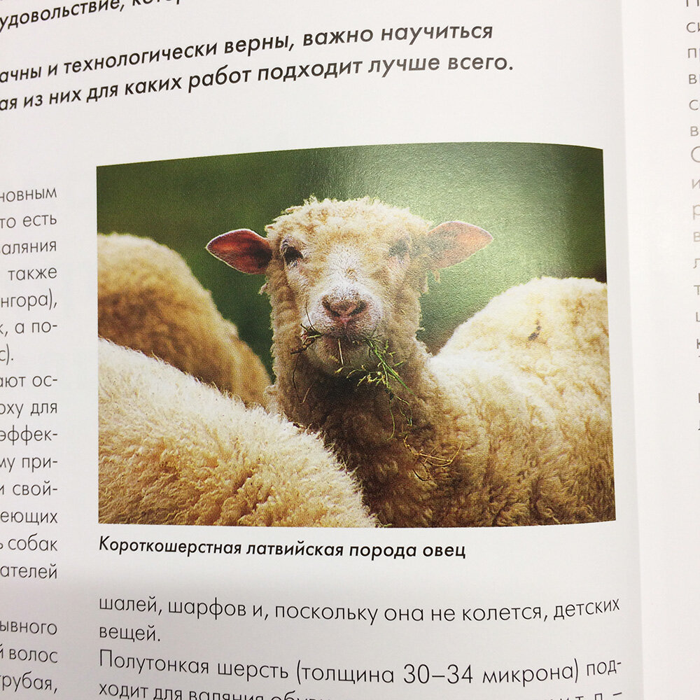 Фото из книги