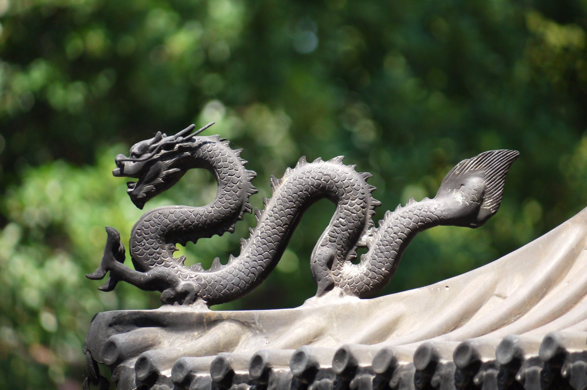 https://images.pexels.com/photos/208326/pexels-photo-208326.jpeg?cs=srgb&dl=daylight-dragon-green-208326.jpg&fm=jpg