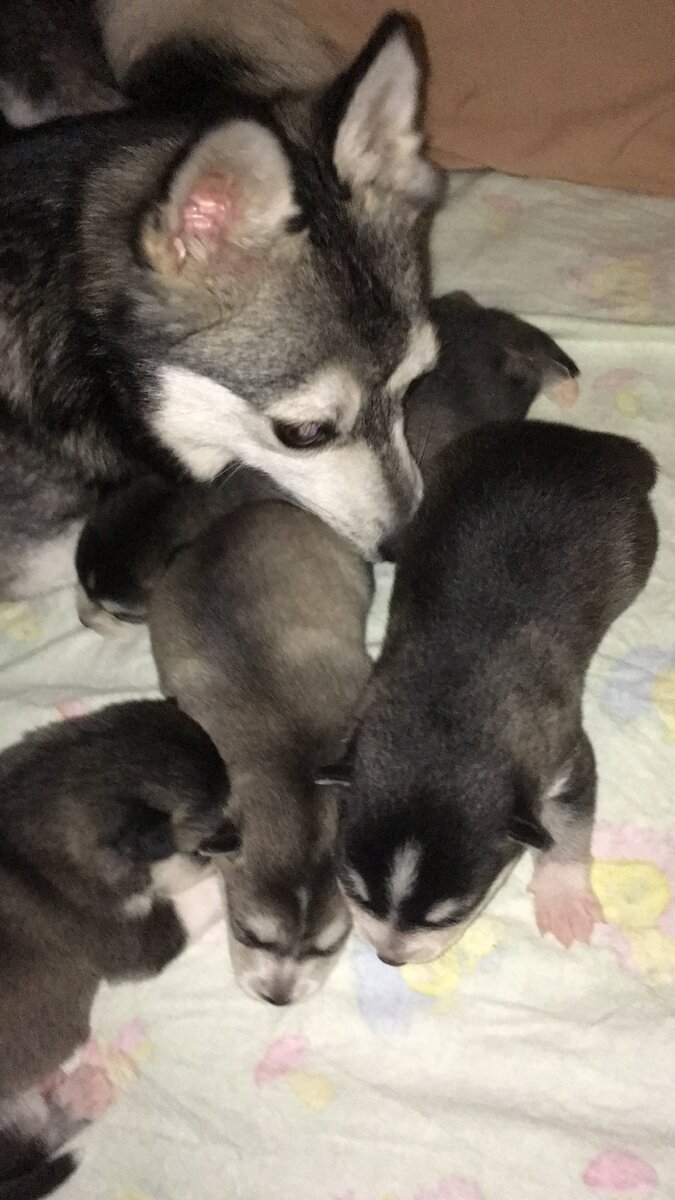 Первая неделя со дня рождения 