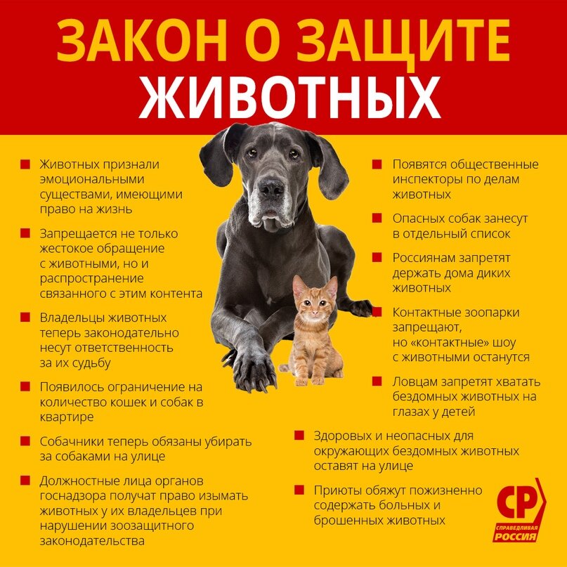 Источник: вселенная интернета