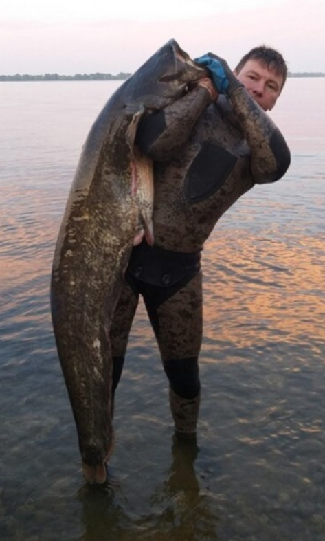 фото из сети Интернет